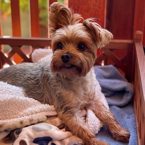 Meet your Posher, Amela